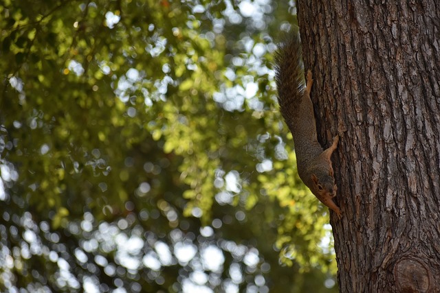 尤其是进攻 尤其是进攻